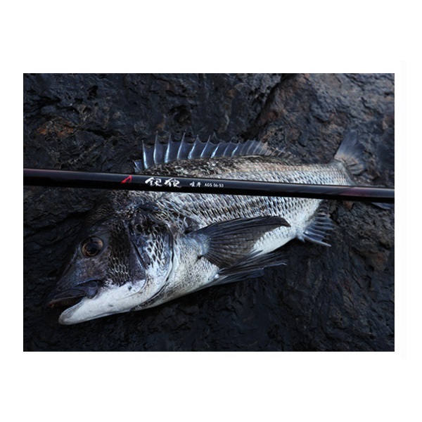 ギンロウ ユイガAGS